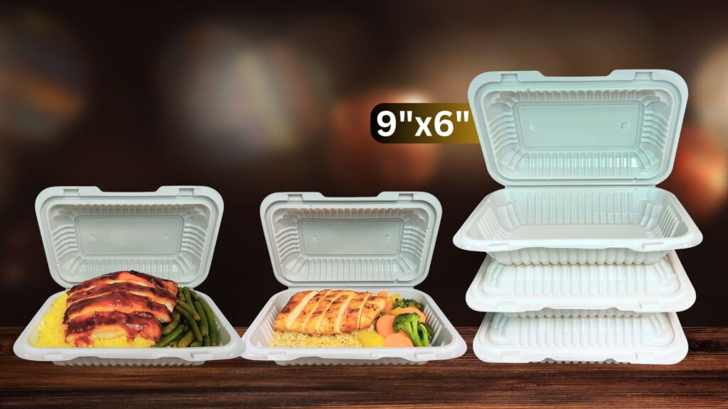 9x6 MFPP Takeout Containers 1 Compartment Dual Lock