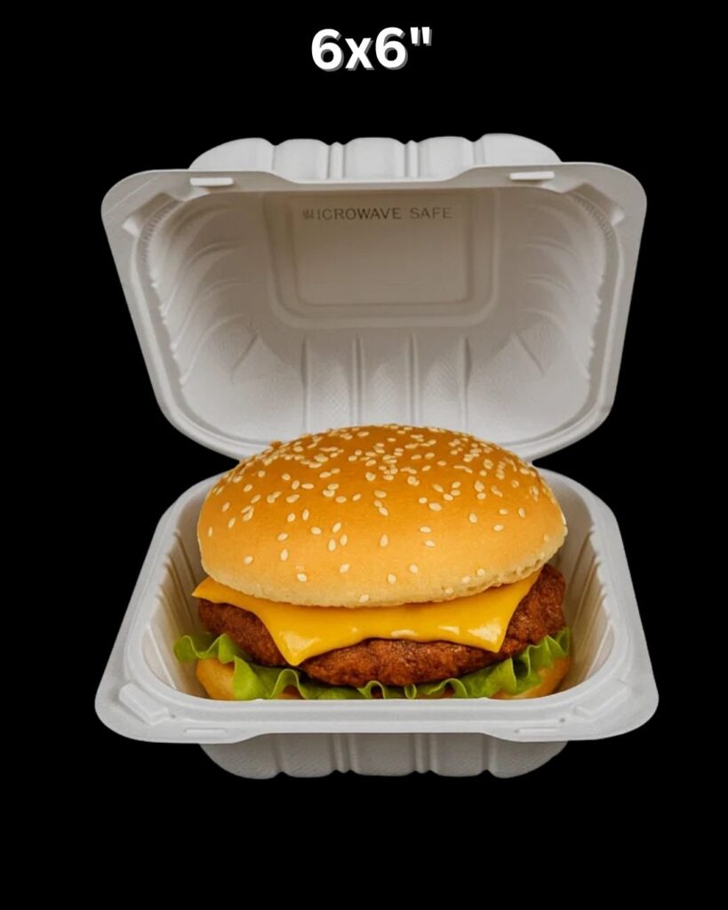 Detail features of 6x6 MFPP Takeout Containers 1 Compartment Dual Lock